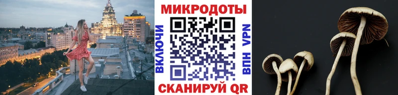 Галлюциногенные грибы GOLDEN TEACHER  купить   Хилок 